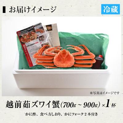 ふるさと納税 福井市 【1月発送予定】福井の老舗カニ料理店の「茹で越前がにズワイガニ」中1杯(700g〜900g) |  | 03
