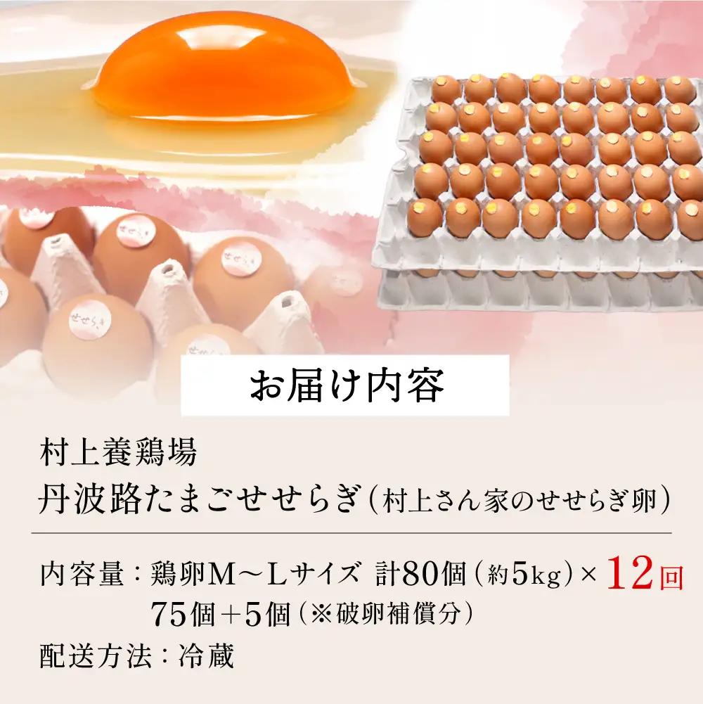 【12ヶ月定期便】せせらぎ卵 80個 〈丹波市産〉 鶏卵 定期便