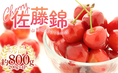 《2026年産先行受付》 山形県産 さくらんぼ＜佐藤錦＞秀品 約800g Lサイズ 200g×4パック FSY-1196