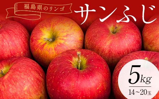 
                  福島県のリンゴ　サンふじ約5kg(14～20玉) F7X-0014
                
