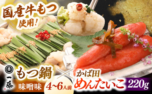 【 もつ鍋 一藤 ×かば田】国産黒毛和牛肉のもつ鍋 味噌(4～6人前)とかば田の辛子明太子 コラボセット ▼和牛 ホルモン 牛もつ 小腸 鍋 ちゃんぽん麺 スープ付き 鍋セット 博多 もつ鍋セット ギフト 辛子明太子 桂川町/Smallcompany株式会社 [ADBX006]