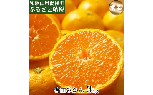 
                  【2026年先行予約】和歌山県産 有田みかん 約3kg 【秀品】 (サイズおまかせ)_DI6003n
                