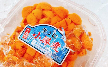 小樽産 バフン・ムラサキ 塩水生ウニ セット 100g×2パック 合計約200g うに ウニ 生ウニ 北海道 小樽市【2025年6月上旬-8月上旬 発送予定】