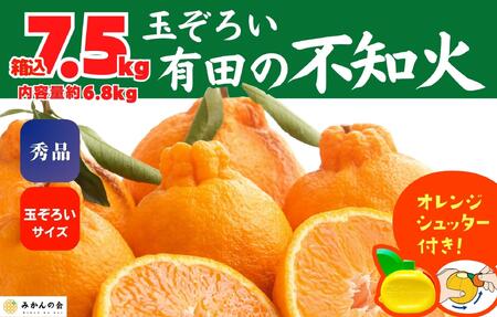 不知火 (しらぬい) 秀品 玉ぞろい 箱込 7.5kg (内容量約6.8kg)  和歌山県産 産地直送［みかんの会］