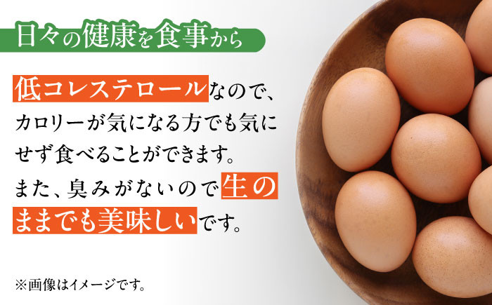 きみ恋し 箱入り たまご 鶏卵 卵 たまご 玉子 たまごかけご飯 新鮮 濃厚