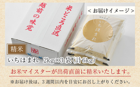 【令和5年産】いちほまれ 精米 2kg×3袋（計6kg）《お米マイスターが発送直前に精米！》／ 福井県産 ブランド米 ご飯 白米 新鮮 