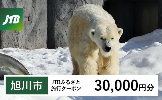 【旭川市】JTBふるさと旅行クーポン（30,000円分）有効期間3年（Eメール発行）｜旅行 トラベル 予約 国内旅行 JTB 宿泊 観光 体験 旅行券 宿泊券 旅行予約  ホテル 旅館 チケット 子供 子連れ カップル 家族 人気 おすすめ 旅行クーポン 店頭 オンライン ネット予約 電話 有効期間3年