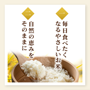 【数量限定】【令和7年産】茨城県産コシヒカリ 那珂川の清流 ホタル米5kg（茨城県共通返礼品/城里町）お米 こめ コメ ごはん 精米 こしひかり 特A評価 単一米 安心 安全 白米 生産者直送 高評価