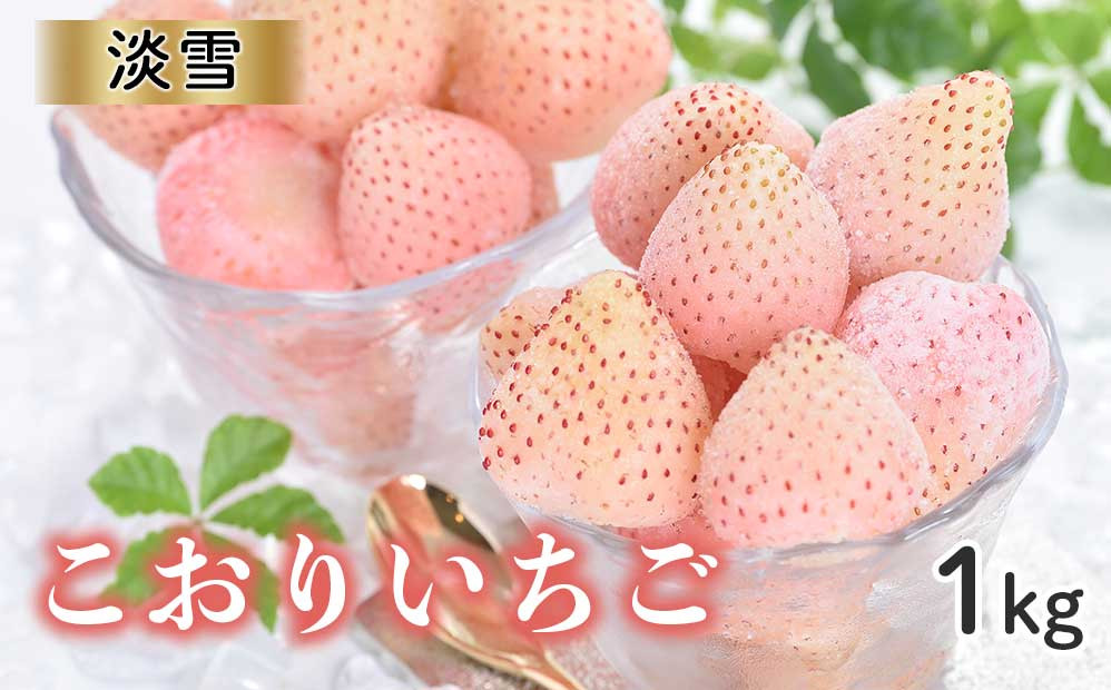 
            【数量限定！】こおりいちご　1kg　品種：淡雪（あわゆき）／ 冷凍いちご 冷凍フルーツ フローズン 白いちご 淡雪 苺 いちご イチゴ 果物 くだもの フルーツ デザート 旬 国産 佐賀県 玄海町 冷凍
          