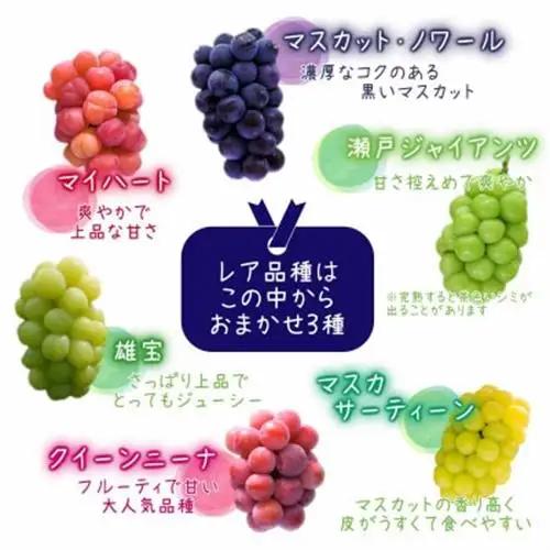 岡山　花笑み農園の『園主おすすめぶどう4種セット』家庭用　2kg　4M-2R家【9月下旬～順次発送】【配送不可地域：離島・北海道・沖縄県】【1626799】