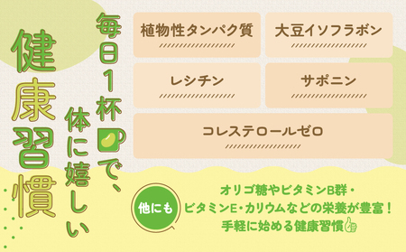 【12ヶ月定期便】キッコーマン 無調整豆乳 500ml 24本（2ケース）セット ｜ 豆乳 無調整 紙パック 高評価 ソイミルク 植物性ミルク 常温 常温保存 飲み物 飲料 ドリンク コレステロール 