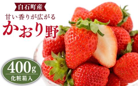 【先行予約】ギフトにおススメ！ かおり野 400g（化粧箱入り） /いちご 苺 イチゴ 白石産 佐賀産いちご 良い香り イチゴ かおりの【StrawberryFarm-K】 [IBJ005]