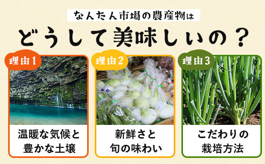 【規格外】本土最南端から 旬のおまかせ野菜セットB 12品目以上 NI-6｜ 旬 野菜 やさい 果物 くだもの 産地直送 農産物 冷蔵 鹿児島県 南大隅町産 詰合せ おまかせ 家庭用 訳あり なんたん