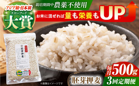 【全3回定期便】胚芽押麦500g（1等麦使用）【葦農】 HAJ034