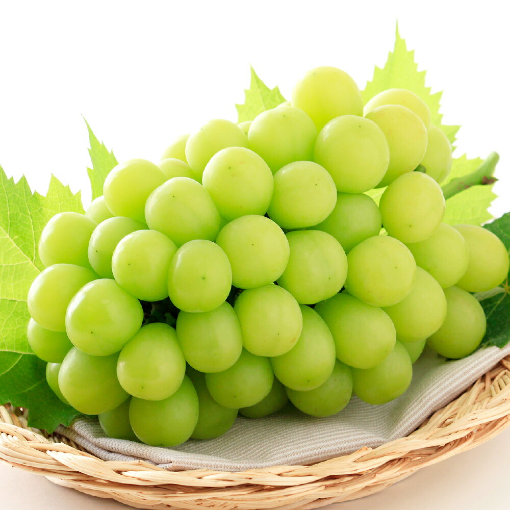 【ふるさと納税】シャインマスカット 晴王 ＜選べる内容量＞ 1房（700g以上） / 2房（合計1.4kg以上） ぶどう ブドウ 葡萄 フルーツ 果物 果実 くだもの 高糖度 大粒 種なし 皮ごと 冷蔵 岡山県産 国産 岡山県 倉敷市 送料無料 【2026年9月上旬～10月上旬迄順次発送予定】