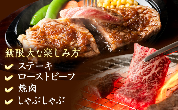 熊本県産 くまもとあか牛 ロースブロック 1kg 株式会社エフビーネット《30日以内に出荷予定(土日祝除く)》熊本県 菊池市 和牛 あか牛 牛肉 肉 赤身 ロース ブロック 国産 九州産 熊本県産 冷