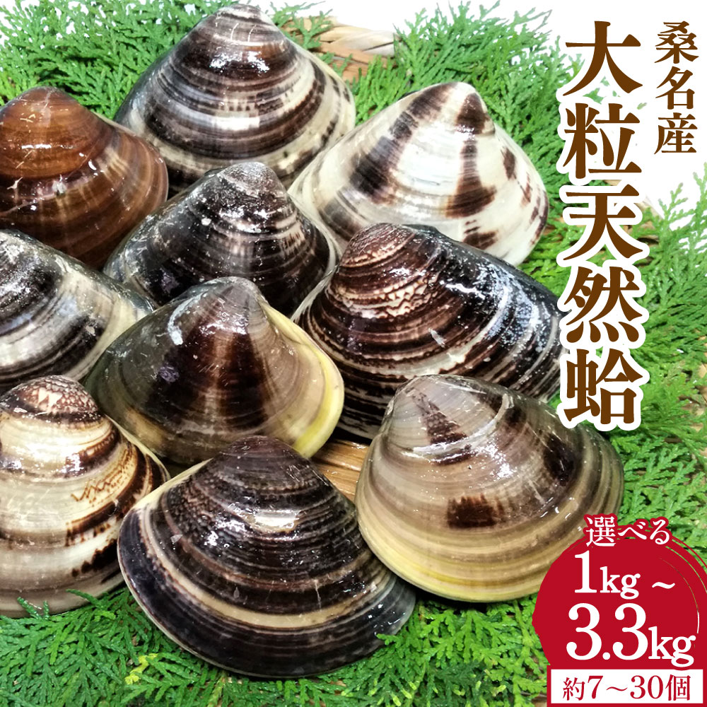 マルヨシ水産　桑名産大粒天然蛤　2kg