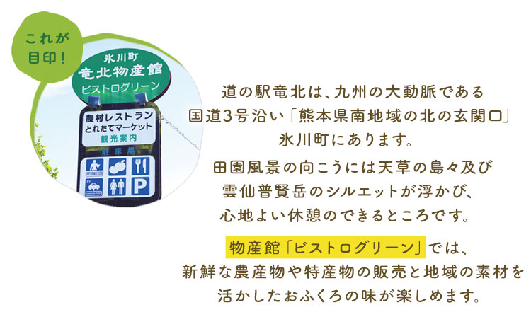 晩白柚もなか 12個入り(6個入り×2箱) 《30日以内に出荷予定(土日祝除く)》道の駅竜北