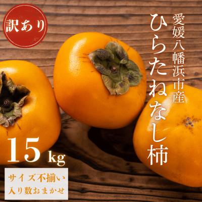 ふるさと納税 八幡浜市 《秋の味覚 種なしで食べやすい》愛媛八幡浜産 ひらたねなし柿 訳あり15kg【H20-28】