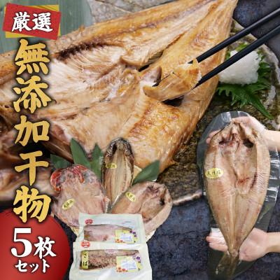 ふるさと納税 沼津市 干物 厳選5種セット