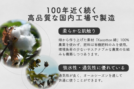 かこっとんスニーカーソックス（3サイズ5色カラバリ展開）【よりどり2足】【2402T05302】