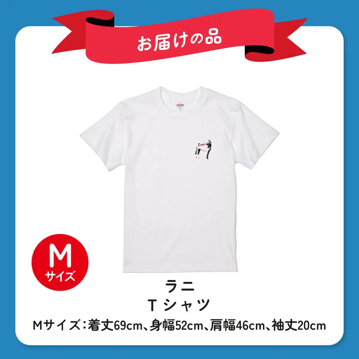 【ラニ】Ｔシャツ 選べる４サイズ【М】 BRTV400-2