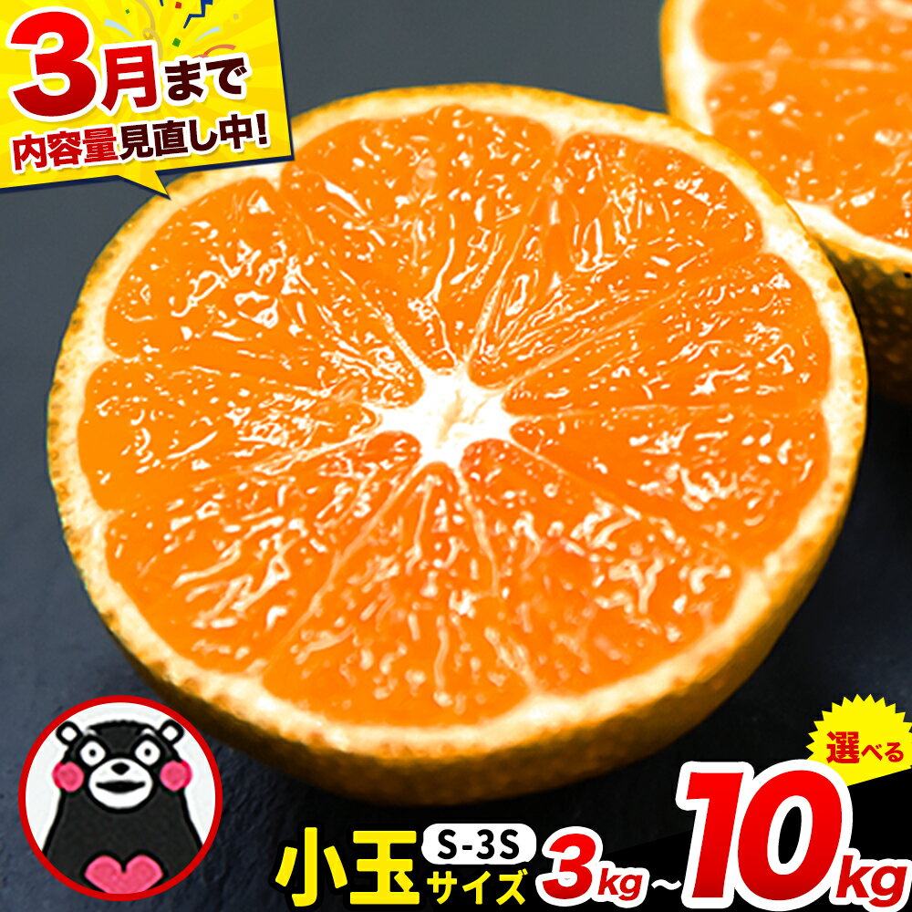 【ふるさと納税】＜内容量見直し中＞ 先行予約 みかん 訳あり 小玉 くまもと小玉みかん 3kg (3kg×1箱) 6kg (6kg×1箱) 10kg (10kg×1箱) ご家庭用 たっぷり 熊本県産 S-3Sサイズ フルーツ 旬 柑橘 長洲町 温州みかん 早生 中生 晩生《2026年9月下旬-12月下旬頃出荷》