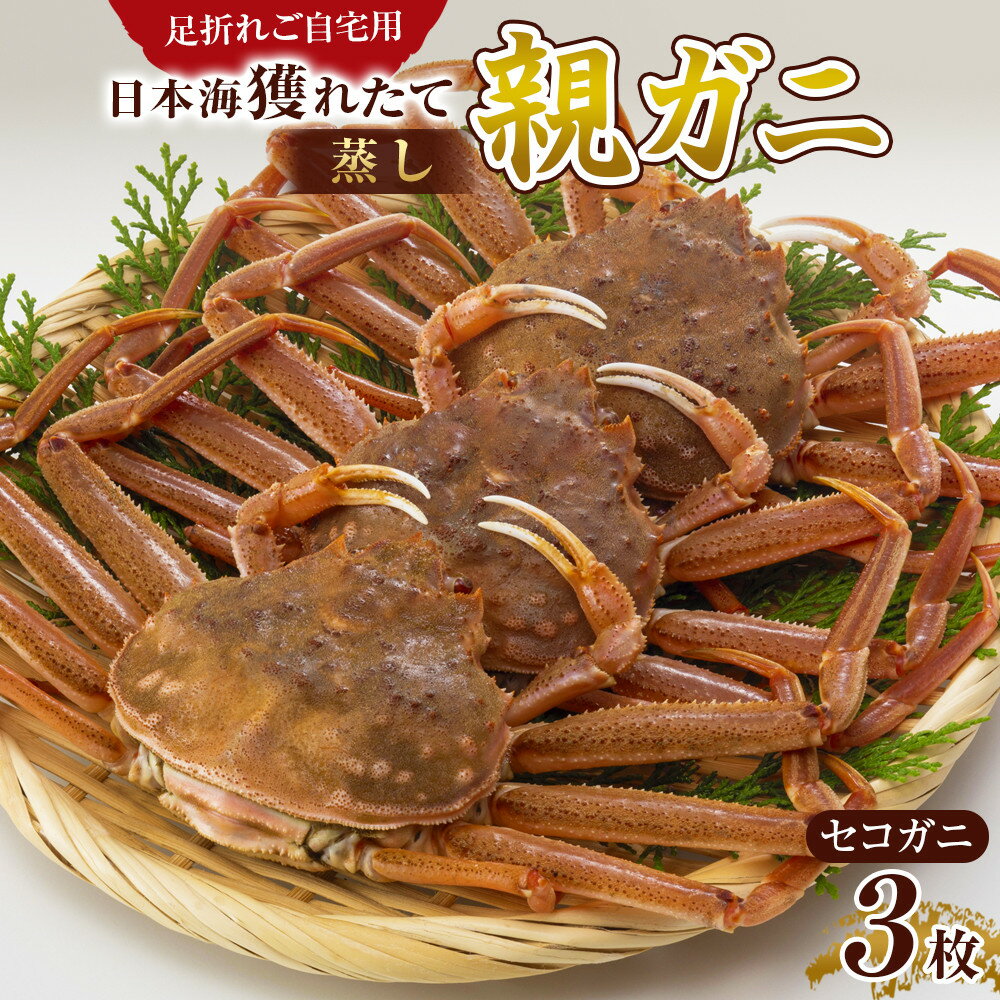 【ふるさと納税】124.【先行予約】【蒸し】訳あり 足折れ ご自宅用 日本海獲れたて親ガニ（セコガニ）3枚 ※2025年11月上旬～12月下旬頃に順次発送予定 | 家庭用 松葉ガニ 松葉蟹 蟹 かに 甲殻類 ズワイガニ 鳥取県 北栄町 おすすめ 人気 送料無料