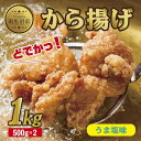 【ふるさと納税】どでか味付けから揚げ うま塩味 500g×2パック 計1kg 大容量 唐揚げ からあげ から揚げ しお 塩 揚げ物 冷凍 惣菜 簡単 調理 肉 おかず 味付き 野崎フーズ 新潟県 南魚沼市