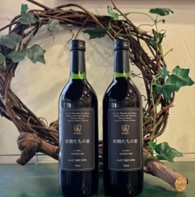 ヤマブドウ100％果汁「妖精たちの宴」2本セット ノンアルコール / ぶどう 岡山県 真庭市 【hwine003-02】