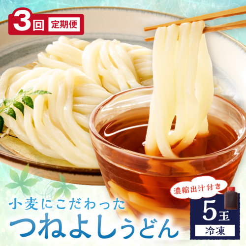 京丹後つねよしの冷凍うどん 5玉入り（5食分） 濃縮出汁付き　定期便（月1回×3ヶ月）【うどん 冷凍うどん もちもち 簡単調理 鍋 かんたん 個包装 麺 5食 定期便 出汁 ダシ だし付き】