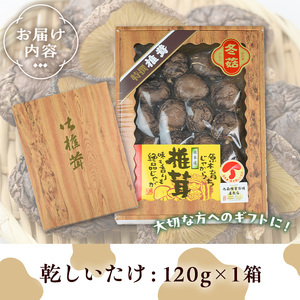 ギフト用 乾しいたけ (120g) シイタケ きのこ 常温【九南サービス(タマチャンショップ)】A740