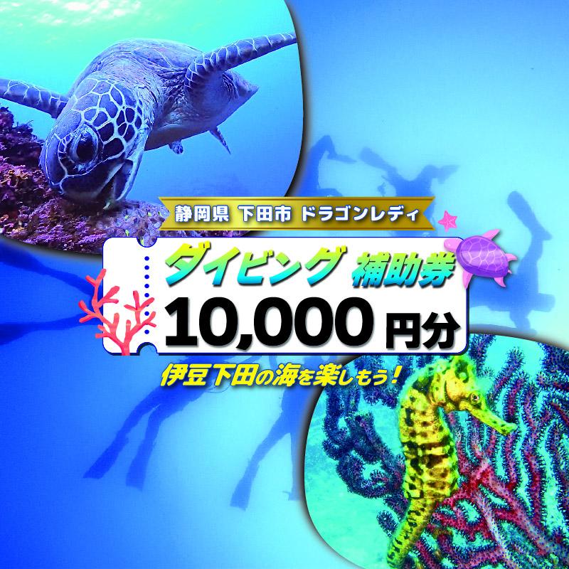ダイビング 補助券 10,000円分 優待券 下田 体験 海 アウトドア スポーツ アクティビティ マリンスポーツ レジャー 旅行 観光 夏休み 白浜 ホテル伊豆急 内 ドラゴンレディ 静岡県 下田市 伊豆 PTS019-00015