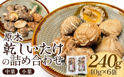 原木乾しいたけの詰め合わせ（かわしま農園）240g  大分県 玖珠町 原木 乾しいたけ 乾燥しいたけ 椎茸 乾燥椎茸 かわしま農園 国産 特産物 干し椎茸 国内有数 品評会 18年連続優勝 安心 安全 国内生産 生産量全国一