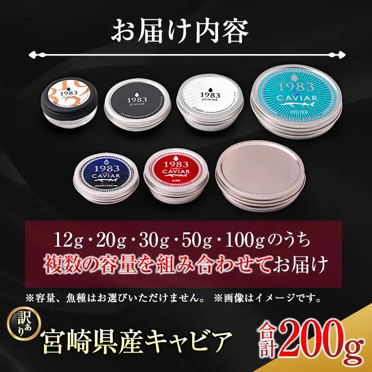 訳あり 数量限定 5つ星ホテル採用 宮崎県産 キャビア 詰め合わせ セット 合計200g 魚卵 魚介 魚貝 国産 熟成 新鮮 高級 希少 食品 三大珍味 黒いダイヤ おすすめ 水産物 おつまみ ご褒美