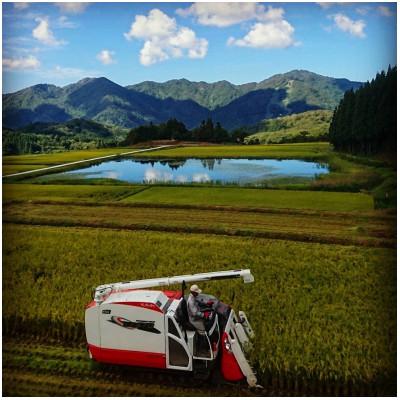 ふるさと納税 村上市 【毎月定期便】新潟県岩船産【棚田米コシヒカリ】のパックごはん(150g×20個)　全9回 |  | 03
