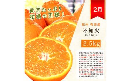 定期便【全4回/1・2・3・4月】旬の柑橘定期便 / みかん ミカン 柑橘 オレンジ 果物 くだもの フルーツ フルーツ定期便 和歌山【tkb416】