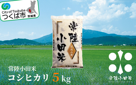 【先行予約】常陸小田米　5kg【2024年9月下旬以降に発送予定】　茨城県つくば市産コシヒカリ【 お米 米 白米 コメ 米 ご飯 米 茨城県産米 米 おこめ 米 つくば市米 筑波米コメ 精米 コシヒカリ米 】