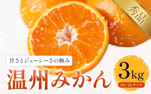 温州みかん 約3kg 日本フルーツ株式会社 熊本県 長洲町 《10月中旬-2月下旬頃出荷予定》 デコポン 果物 秀品 フルーツ スイーツ デザート ギフト ご贈答