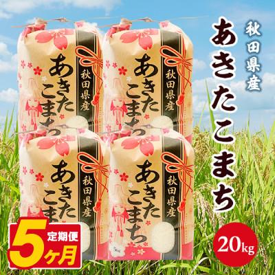 ふるさと納税 八郎潟町 【毎月定期便】あきたこまち 20kg(5kg×4袋)【白米】 秋田県産全5回