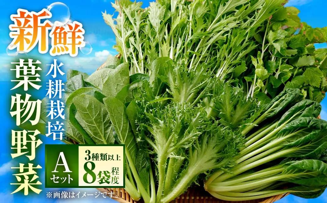 水耕 栽培 新鮮 葉物 野菜 Aセット GreensFarm ホタル サラダ 和え物 M06S22【2026年11月上旬～2027年6月上旬発送予定】