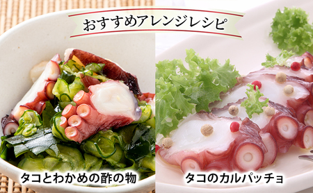 タコ足 浜茹でボイル 枝幸産 刺身 タコ足【2本 約1kg】