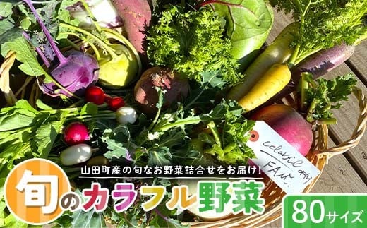 ≪先行予約≫【2026年5月中旬～発送開始！】 カラフルファムの旬のカラフル野菜 80 サイズ 無農薬 減農薬 詰合せ お弁当 食卓 おかず 新鮮野菜 三陸山田 山田町 山田産野菜 YD-1018