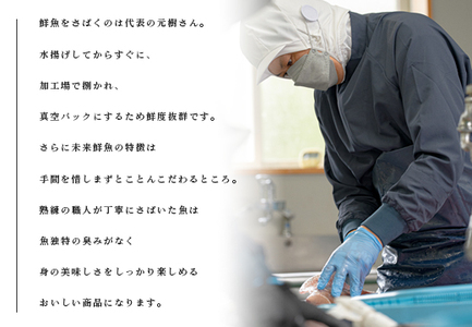 旬のお刺身用 柵セット 9～12種 高知 海鮮 盛り合わせ 食べ比べ 鮮度抜群 刺し身 グルメ 酒の肴