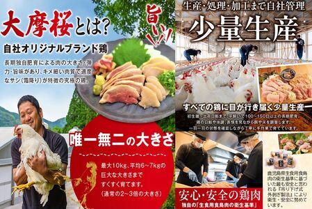 085-15 「さつま極鶏大摩桜」鶏刺し3種&特選ササミ塩たたきと炭火焼 食べ比べセット