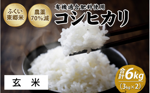 令和6年産 ふくい東郷米 特別栽培米 農薬70％減  コシヒカリ 6kg（3kg×2袋）【玄米】[A-020019_02]