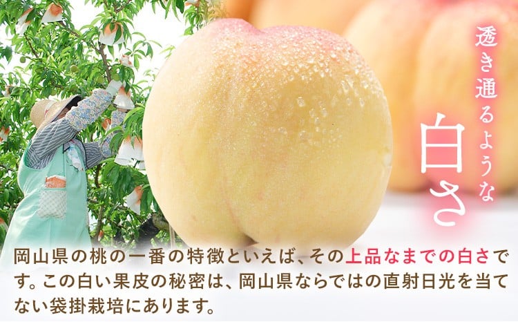 岡山の桃 約750g 《最短翌日発送！1-5営業日以内に出荷（土日祝除く）》 フルーツ 果物 岡山 矢掛町 ---yakage_loc_22_h---