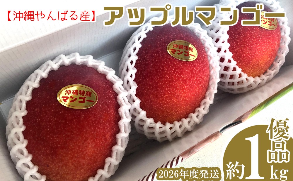
                  2026年発送【沖縄やんばる産】約1kg 優品アップルマンゴー（Ms mango farm） 南国 南国フルーツ 先行予約 期間限定 沖縄 甘味 糖度 フルーツ 果物 果実 プレゼント ギフト トロピカル 数量限定 予約 おすすめ くだもの 太陽 やんばる 自然
                