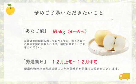 あたご梨 【倉吉産】5kg（JA鳥取中央） 梨 ナシ なし 鳥取 果物 フルーツ 和梨 先行予約 数量限定 詰め合わせ 人気 甘い 大玉 今が旬 あたご梨