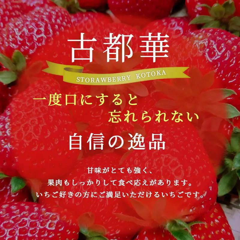 いちご 古都華 完熟 佃農園 奈良県産 いちご【約270g】【先行予約】
